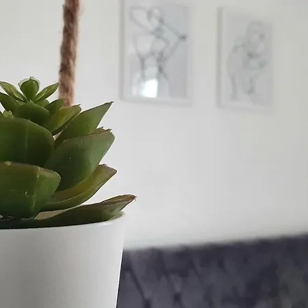 Apartamento Horner House - Carlton&co